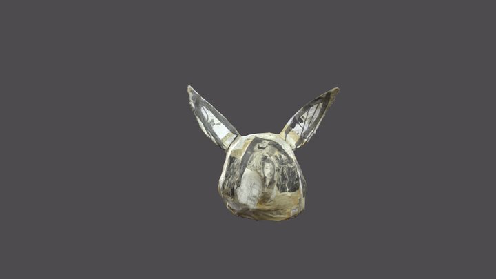 Bunny Mask 3D Model
