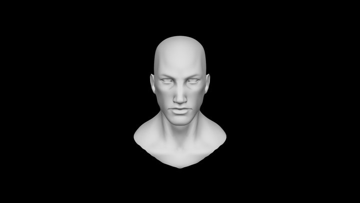 Sculpting attempt 1 3D Model