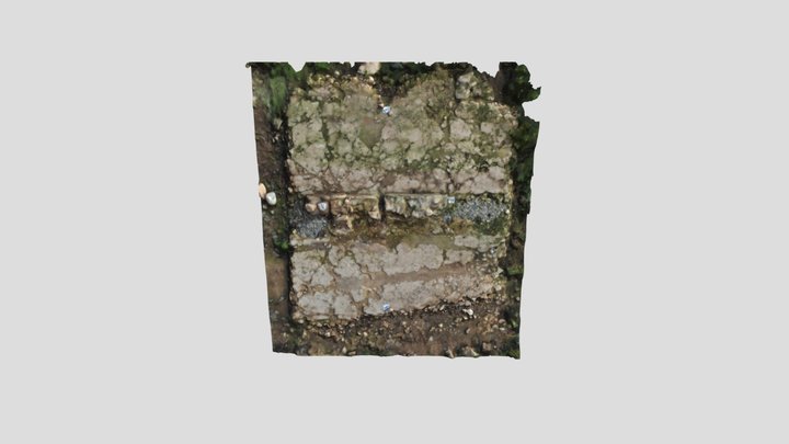 Digitalización 3D Model