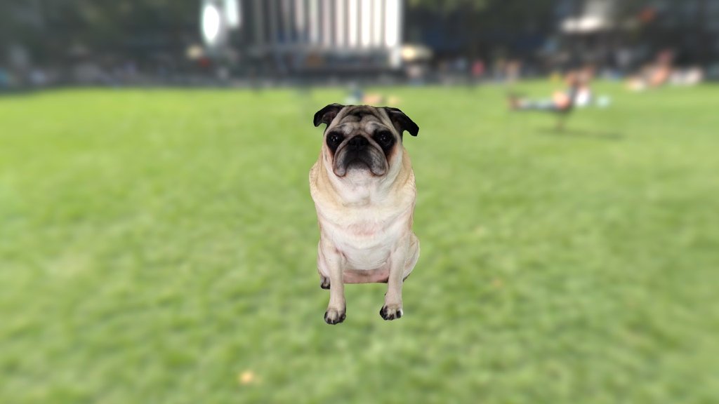 Dog-sample