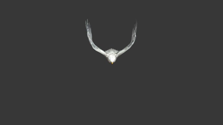 Eagle Flight 3D Model