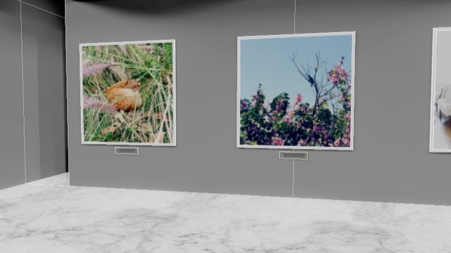 Instamuseum for @eladweizman 3D Model