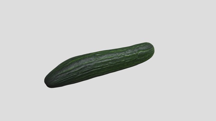 Pickling Cucumber 3D Model