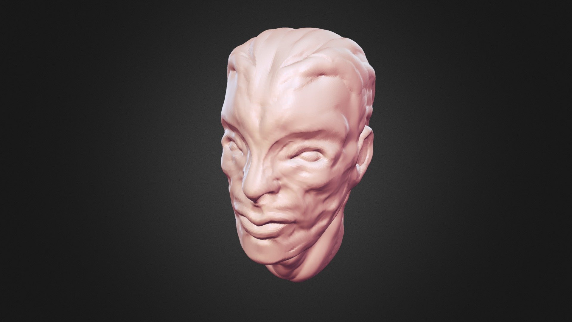Bust Study 03