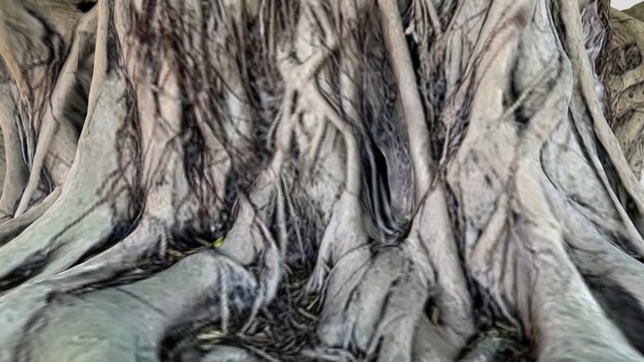 Larger Jungle Tree Trunk 3D Model