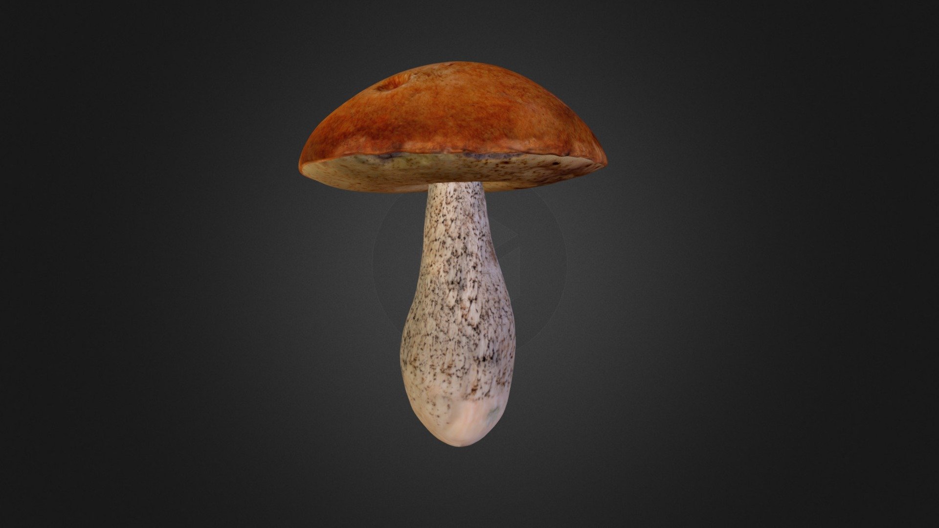 Mushroom