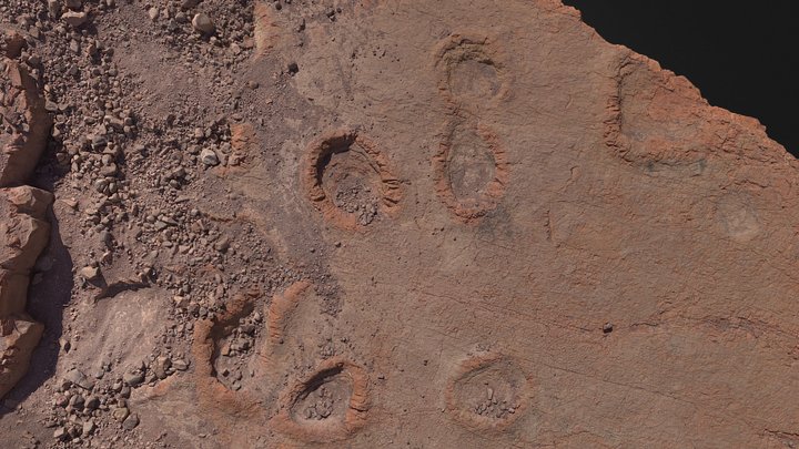 Oligocene Mammal Tracksite 3D Model