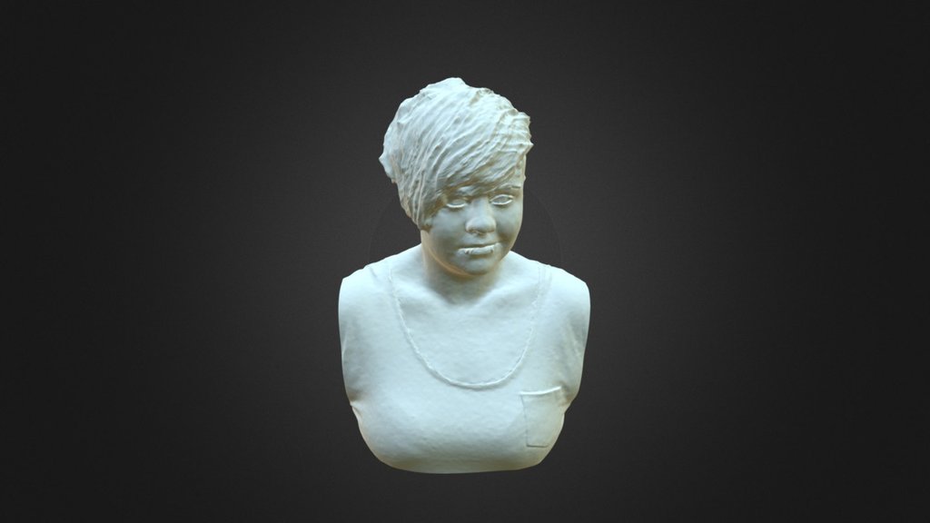 Low Resolution Bust