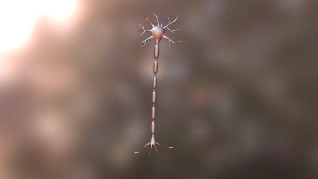 Neuron Pendant 3D Model