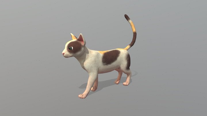 Cat 3D Model
