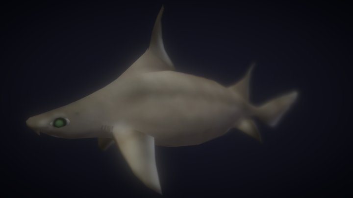 Sailfin Roughshark 3D Model