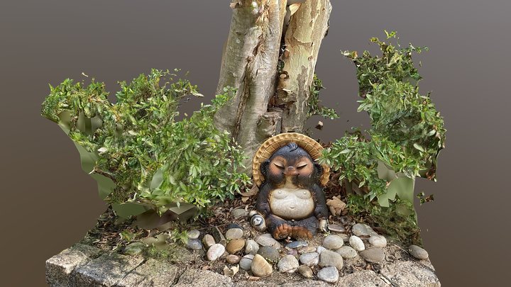 木陰のタヌキ 3D Model