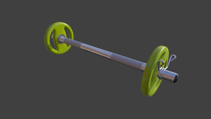 Rubber Weights in a Barbell 3D Model