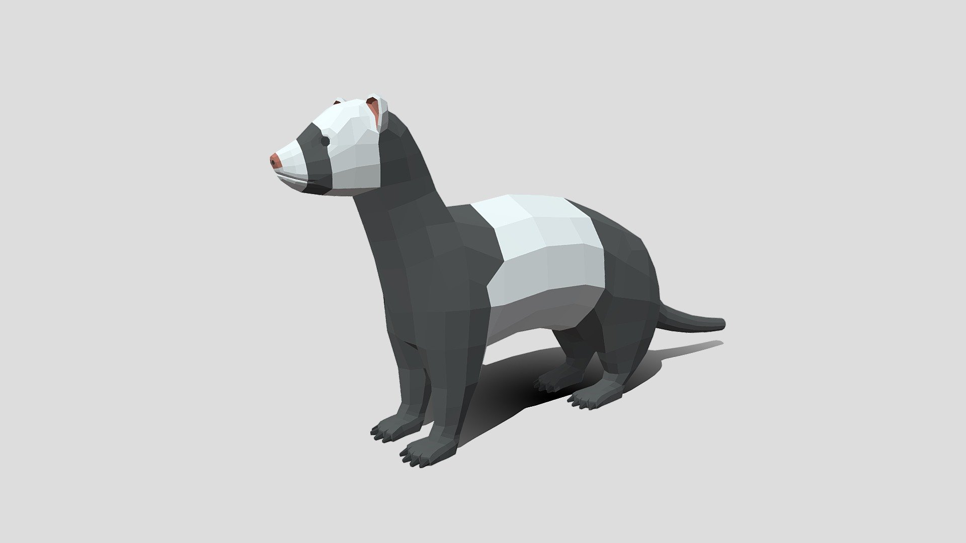 3D cute ferret rigged anime - TurboSquid 1693053