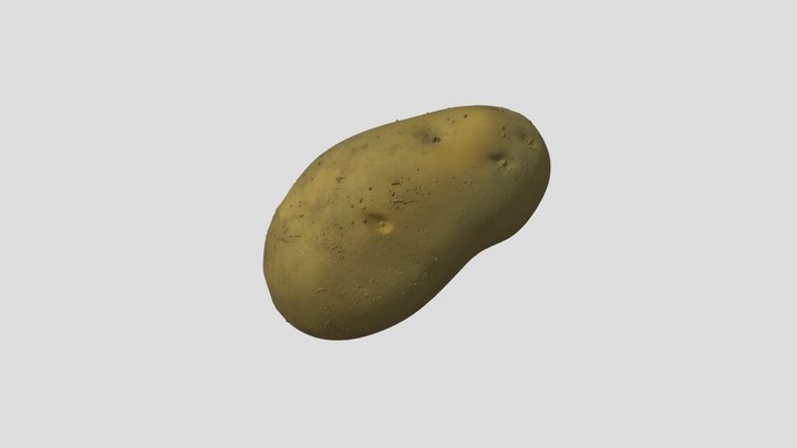Potato Tuber