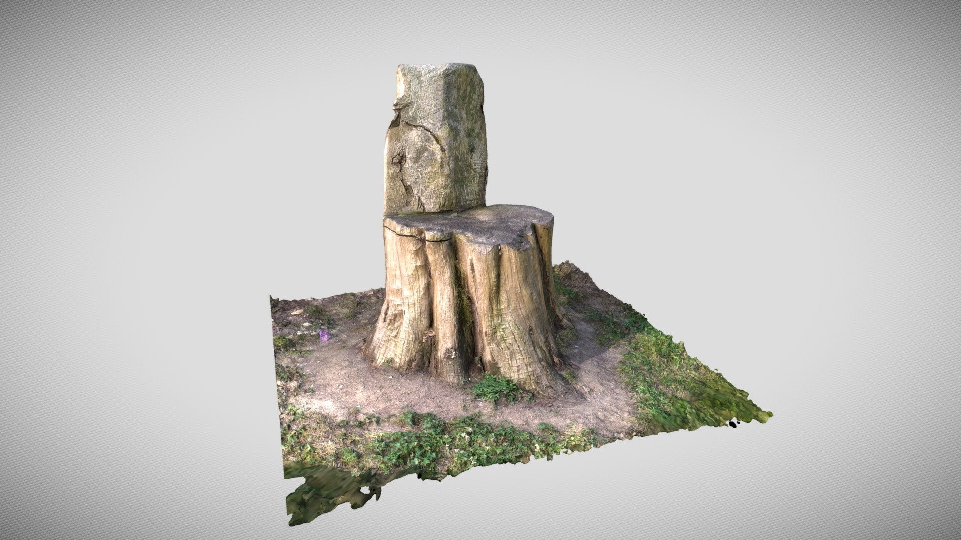Wooden Throne Chair