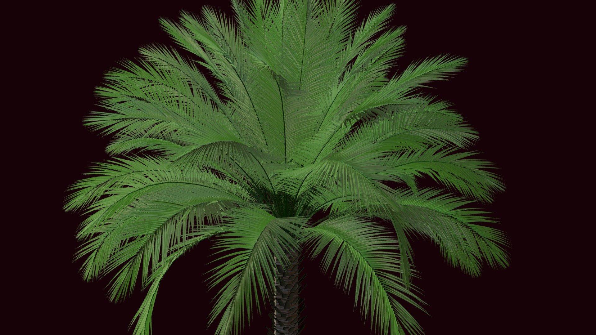 Phoenix Rupicola — Sketchfab embed 3D viewer
