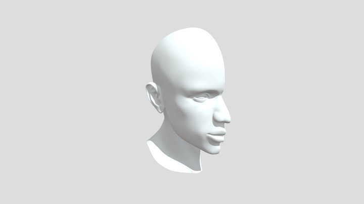 headAna_obj 3D Model