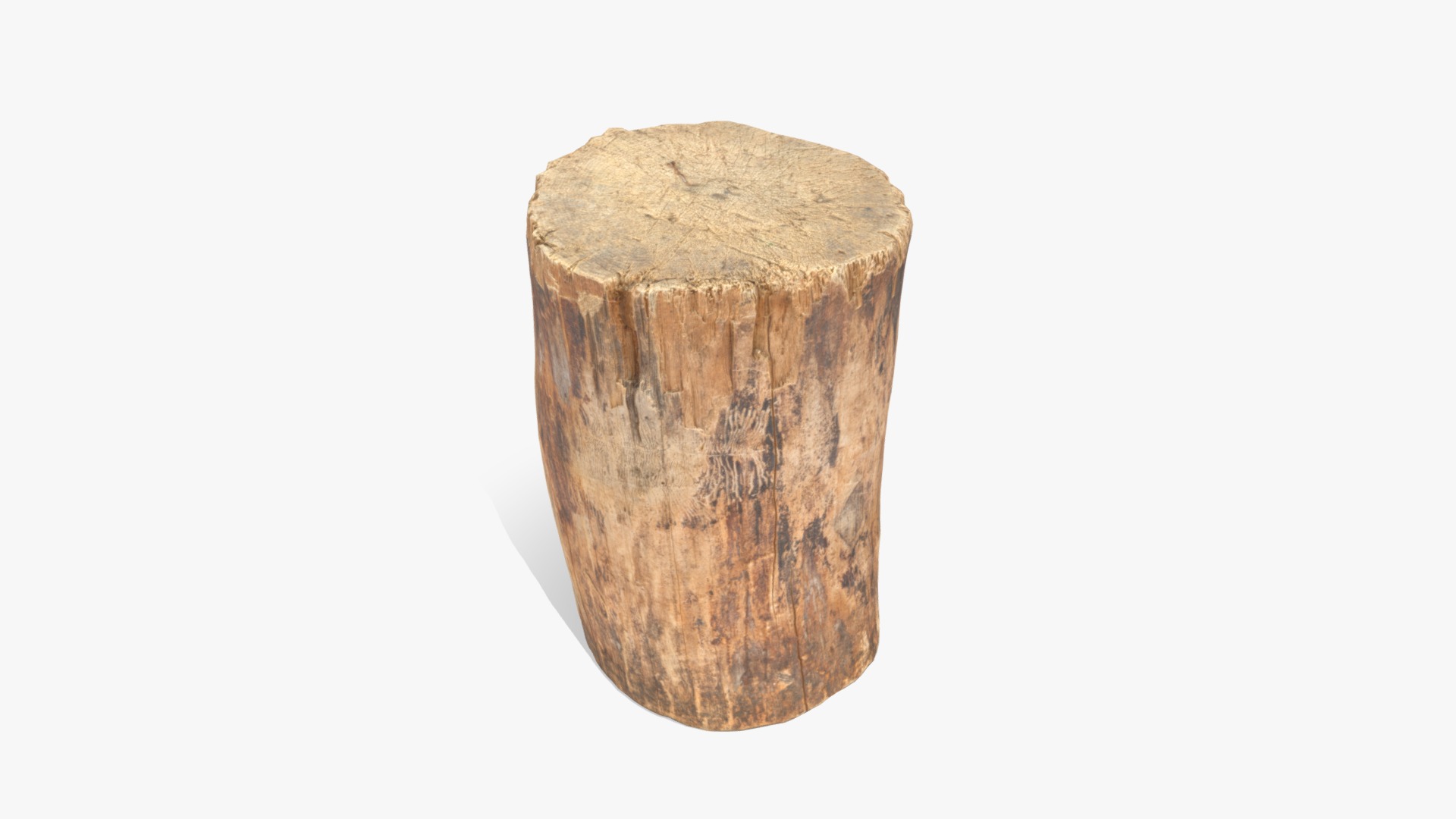 3D model Log Round Short - This is a 3D model of the Log Round Short. The 3D model is about a close-up of a wooden stump.