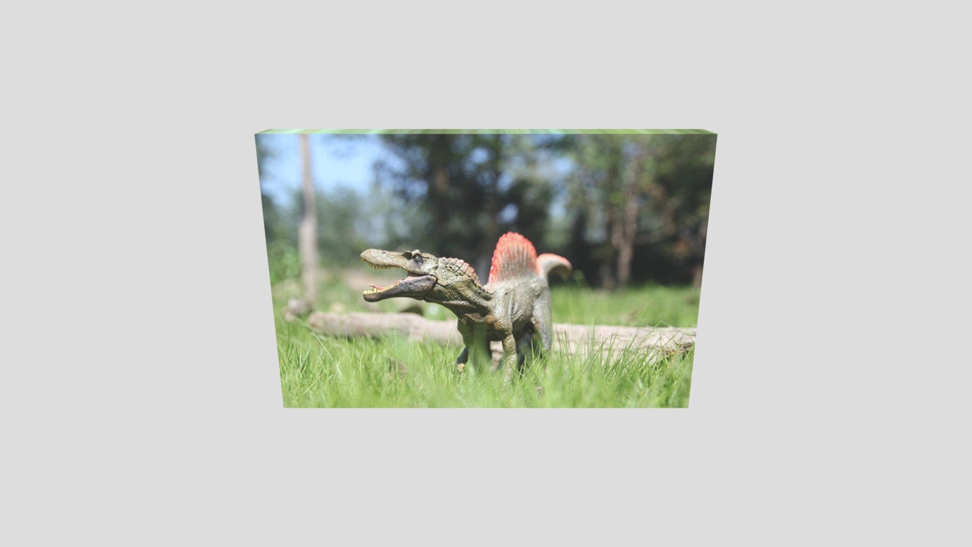 Spiny from a spino's life