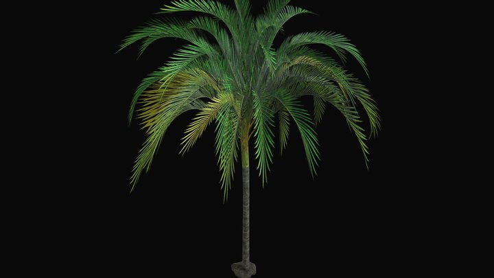 Coconut Tree – Kostenloses 3D-Modell STL