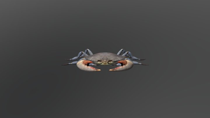 Crab HP 3D Model