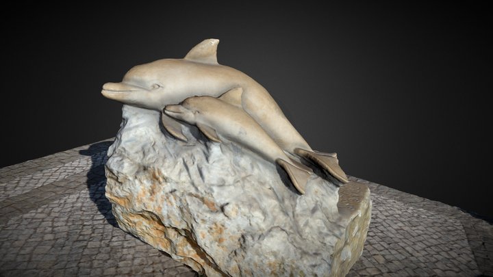 Dolphins 3D Model