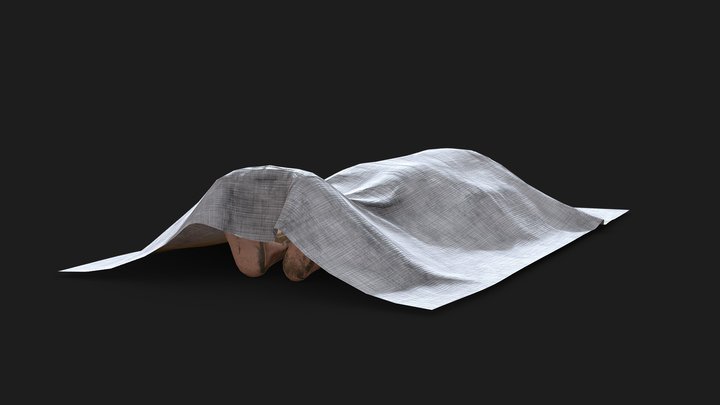 Covered Corpse 3D Model