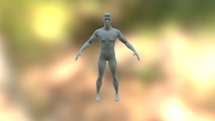 Human Body 3D Model