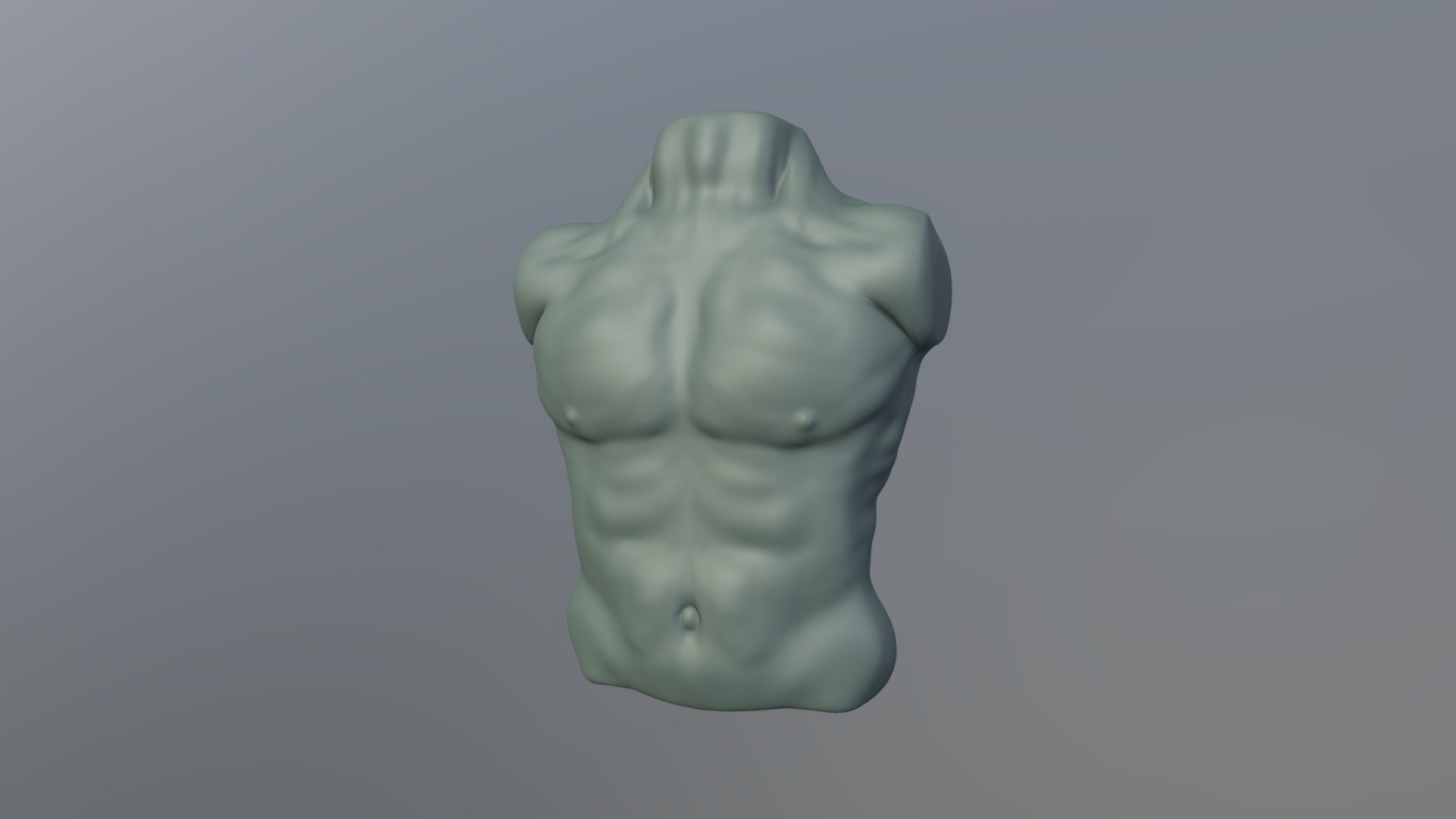 Male Chest Study 3D model by Lauren Kubacki