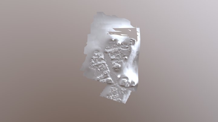 Odm Textured Model 3D Model