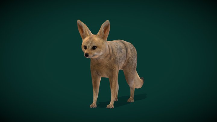 Cama-fox 3D models - Sketchfab