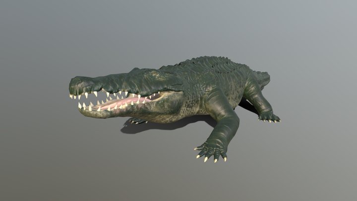 2,464 Crocodile Human Images, Stock Photos, 3D objects, & Vectors