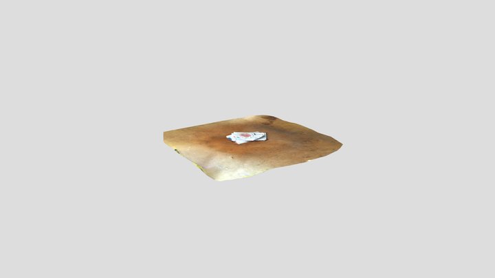 Pile #1 3D Model