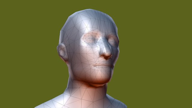Topologia Cara 3D Model