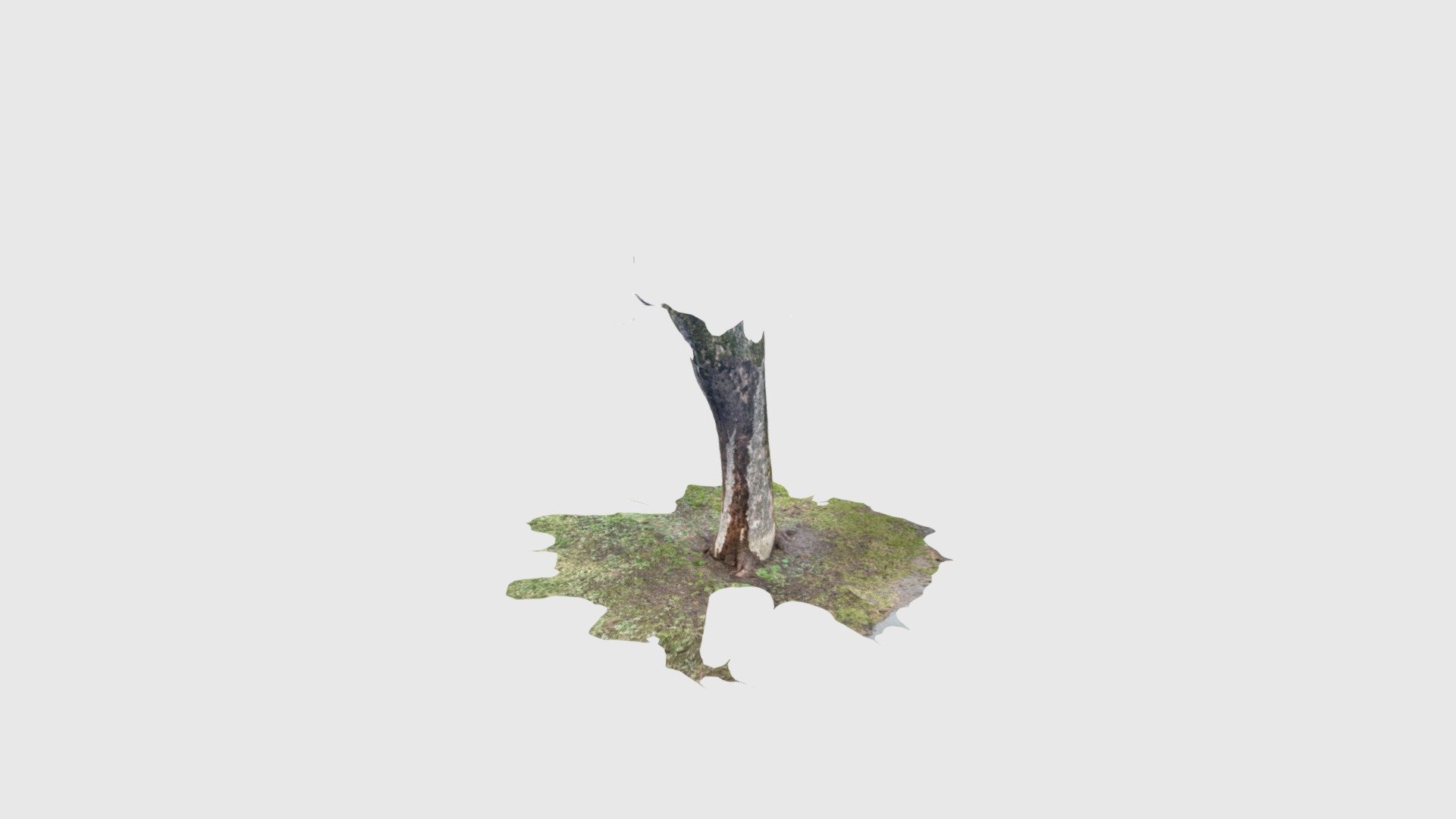Test2