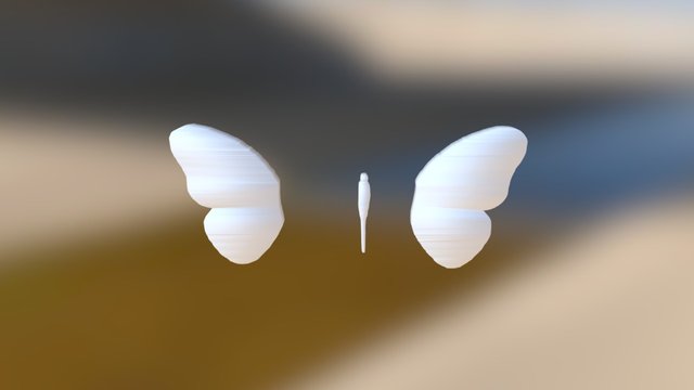 Butterfly - Rachani 3D Model