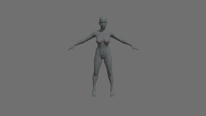 Breasts 3D Model