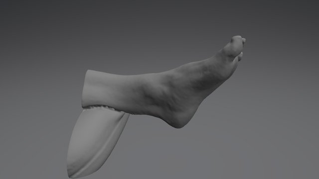 Foot Colour Pressure 3D Model