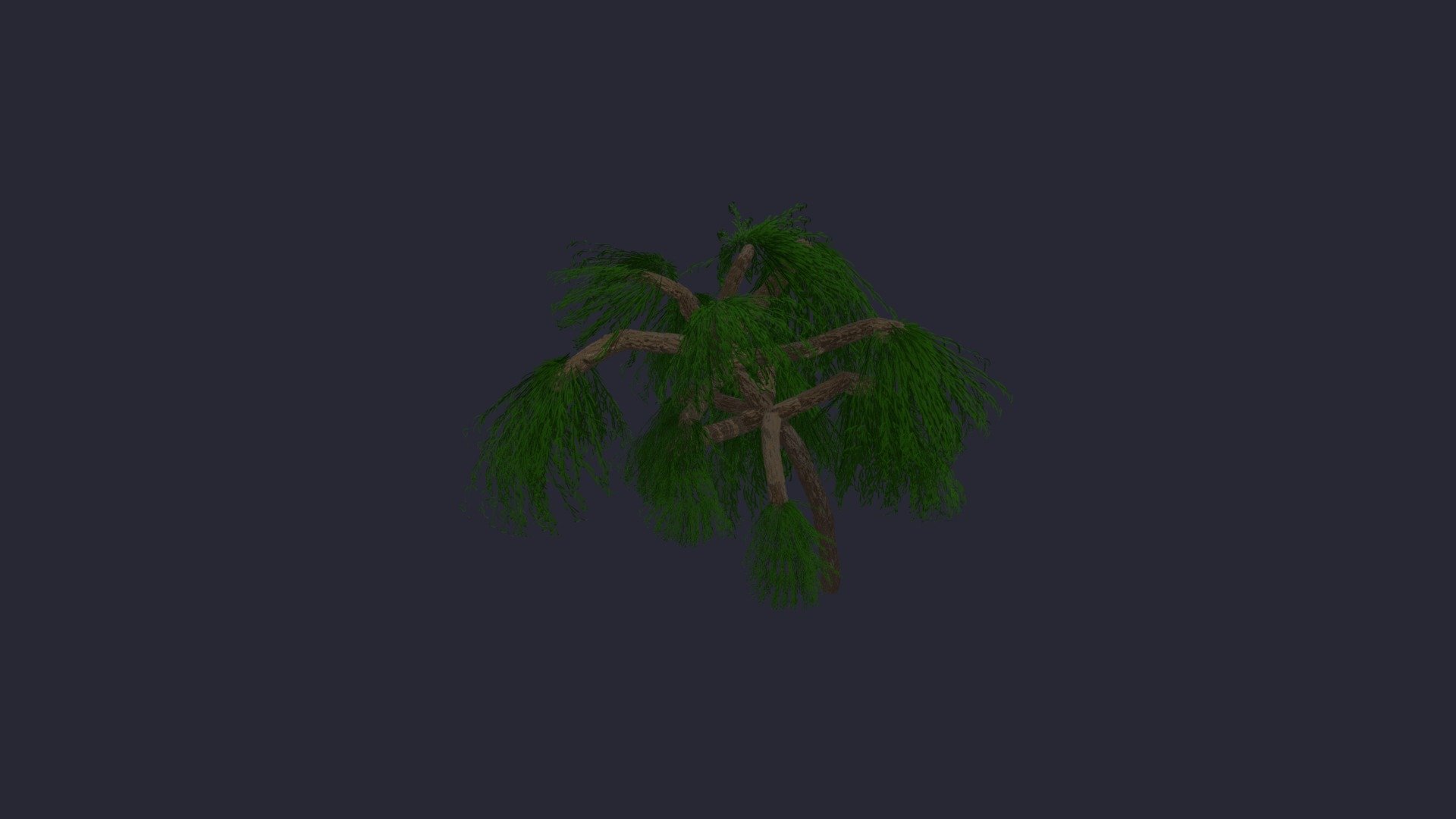 Weeping Willow