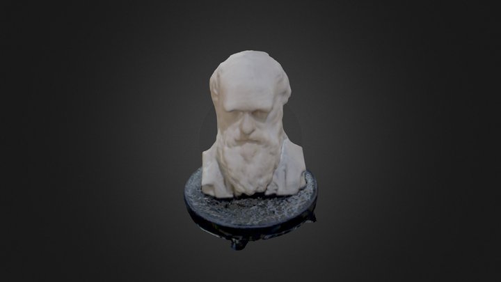 Darwin! 3D Model