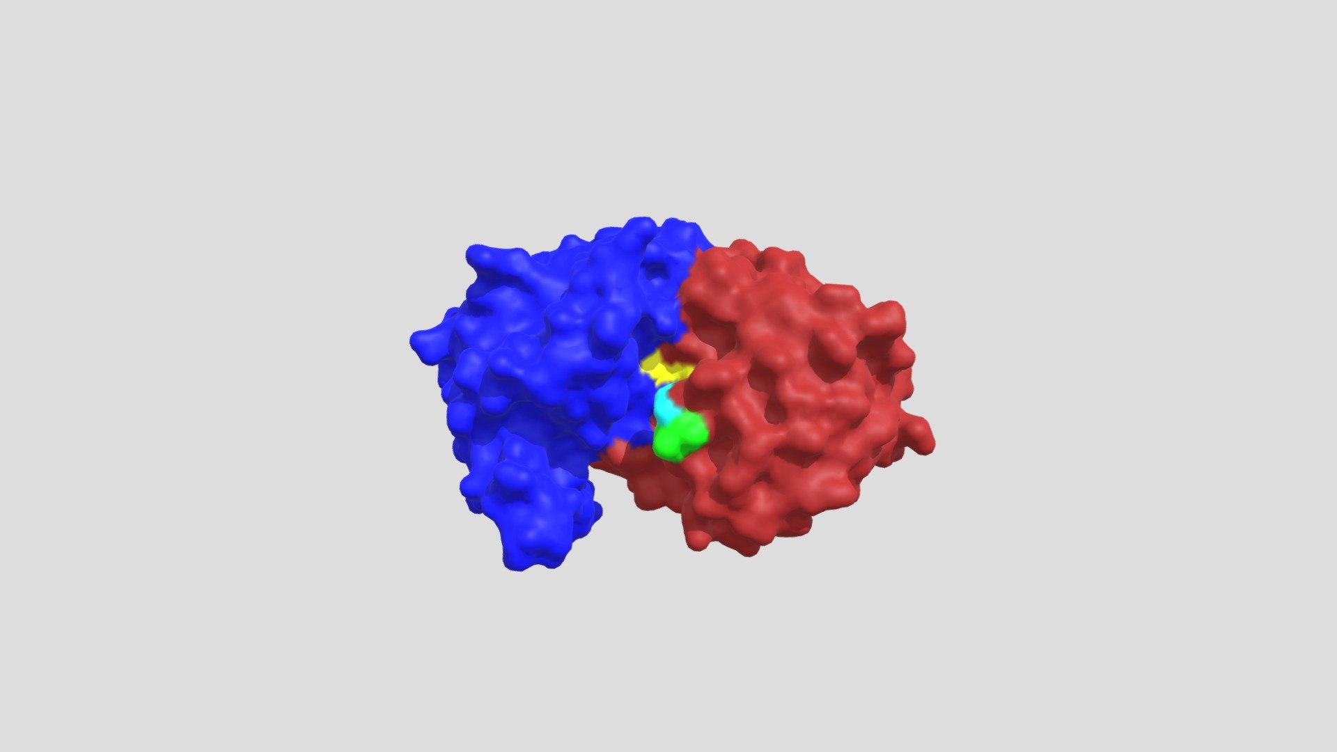 Human pepsin function