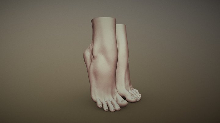 Female Foot 2 3D Model