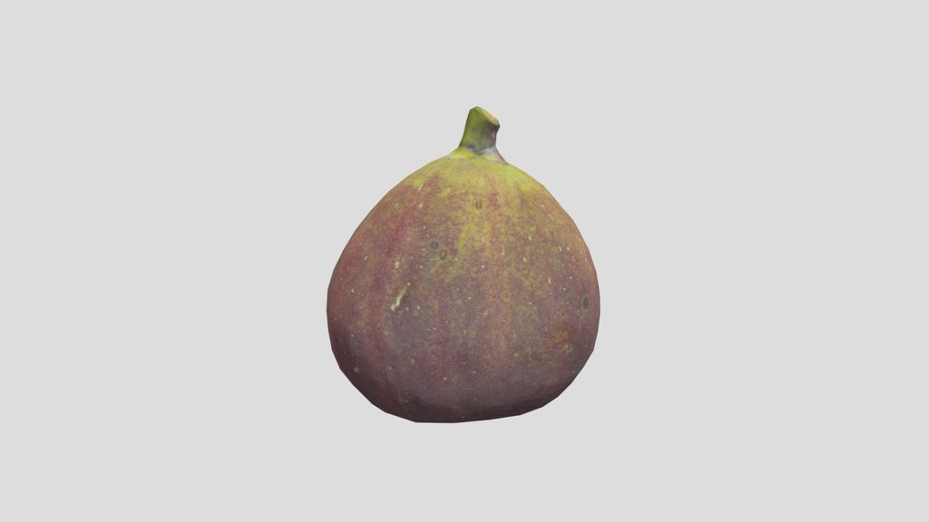 Ficus Carica