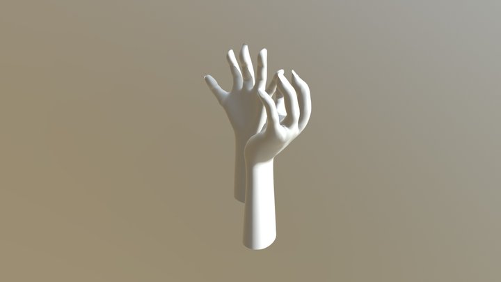 Hand S 3D Model