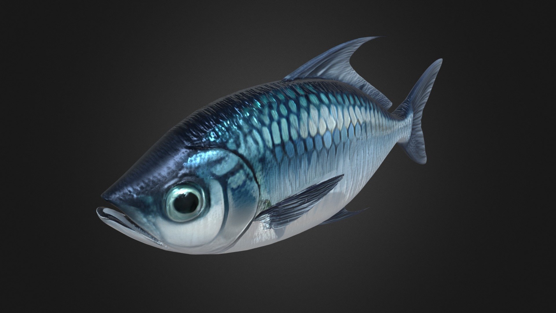 Fish - 3D model by Korvana Studio (@korvanastudio) [2f57a88] - Sketchfab