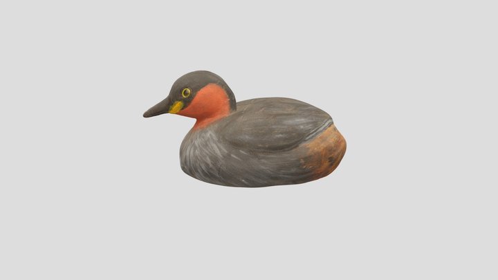 カイツブリ デコイ 3D Model