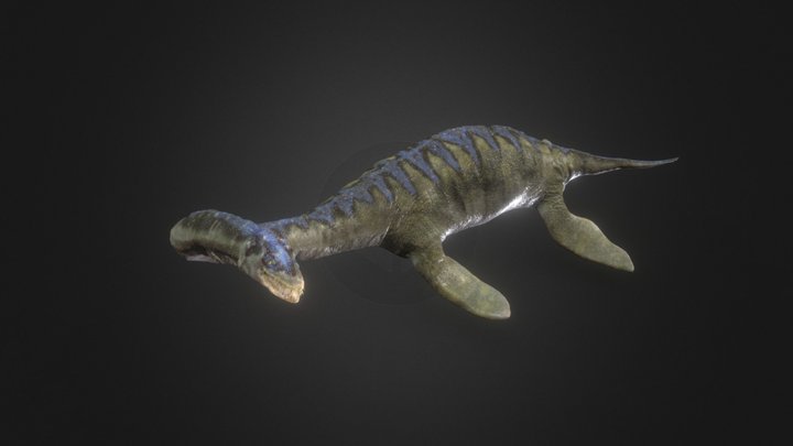 Plesiosaure 3D Model