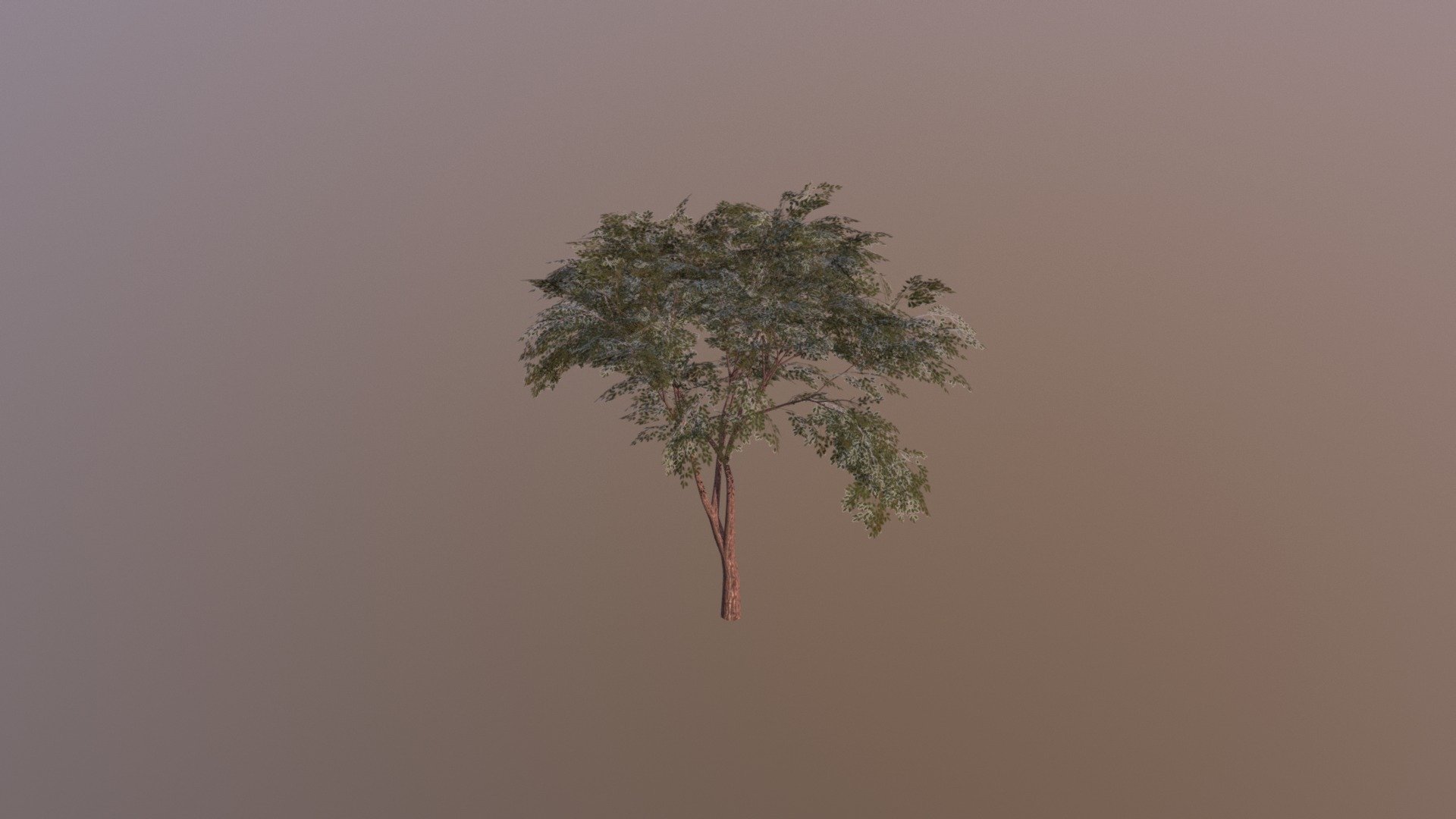 eLearning Tree - 3D model by chenderson [2f5b5fb] - Sketchfab
