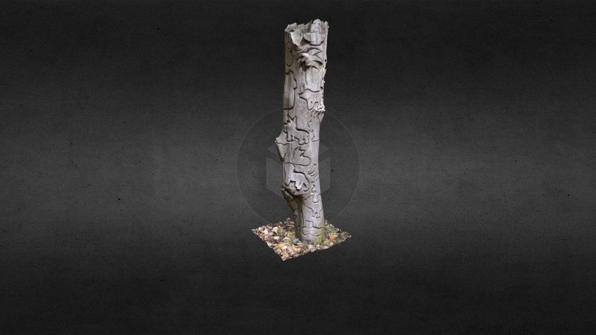 The Animal Tree